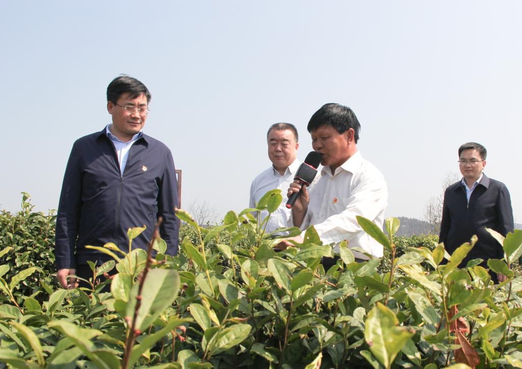 罗晓君在平利县调研时强调聚焦市委大局聚焦群众关切高质量做好纪检